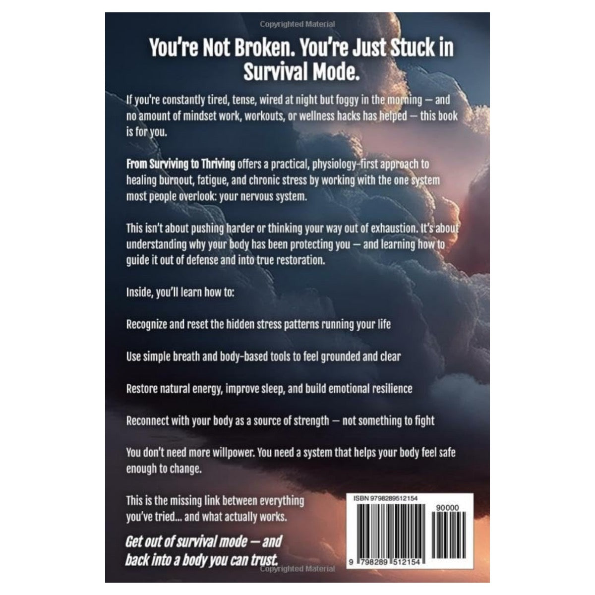 From Surviving To Thriving: Your Path Beyond Burnout